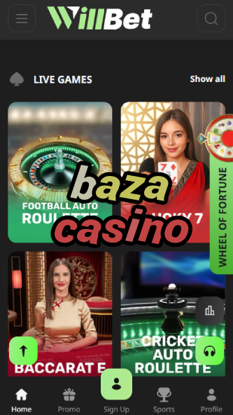 Baza Casino - Best Bazaar-Style Gambling Experience-casinocasi.ydblkf.net